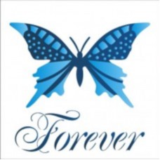 Stencil OPA 1371 Borboleta Forever 14X14cm Dublo_OPA1371